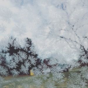 Meet your Posher, Hana